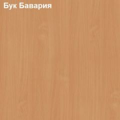 Антресоль для малого шкафа Логика Л-14.3.1 в Снежинске - snezhinsk.mebel24.online | фото 2