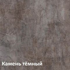Крафт Полка навесная 15.64 в Снежинске - snezhinsk.mebel24.online | фото 4