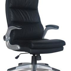 Кресло офисное BRABIX "Fregat EX-510" (рециклированная кожа, черное) 530863 в Снежинске - snezhinsk.mebel24.online | фото