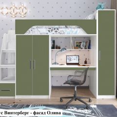 Кровать-чердак Тея + Шкаф-Пенал Тея в Снежинске - snezhinsk.mebel24.online | фото 3