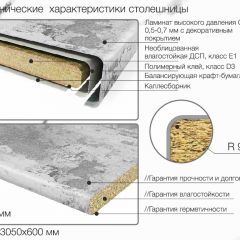 Кухонный фартук со столешницей (А-01) в едином стиле (3050 мм) в Снежинске - snezhinsk.mebel24.online | фото 6