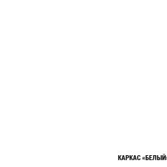 Кухонный гарнитур Алина макси (1800) в Снежинске - snezhinsk.mebel24.online | фото 6
