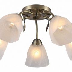 Потолочная люстра Rivoli Olivia Б0052693 в Снежинске - snezhinsk.mebel24.online | фото