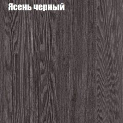Прихожая ДИАНА-4 сек №11 (Ясень анкор/Дуб эльза) в Снежинске - snezhinsk.mebel24.online | фото 3