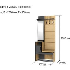 ОЛЬГА-ЛОФТ 1 Прихожая в Снежинске - snezhinsk.mebel24.online | фото 4