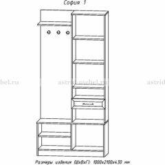 Прихожая София 1 в Снежинске - snezhinsk.mebel24.online | фото 3