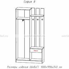 Прихожая София 8 в Снежинске - snezhinsk.mebel24.online | фото 2