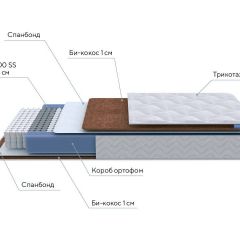 PROxSON Матрас Active F (Ткань Трикотаж Эко) 160x200 в Снежинске - snezhinsk.mebel24.online | фото 7