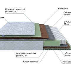 PROxSON Матрас Green M (Tricotage Dream) 120x200 в Снежинске - snezhinsk.mebel24.online | фото 7