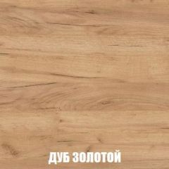 Шкаф 2-х створчатый МСП-1 (Дуб Золотой/Камень темный) в Снежинске - snezhinsk.mebel24.online | фото 4