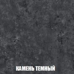 Шкаф 2-х створчатый МСП-1 (Дуб Золотой/Камень темный) в Снежинске - snezhinsk.mebel24.online | фото 5