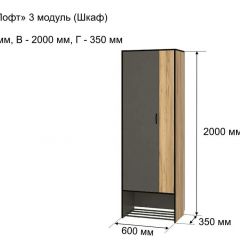 ОЛЬГА-ЛОФТ 3 Шкаф 2-х створчатый в Снежинске - snezhinsk.mebel24.online | фото 4