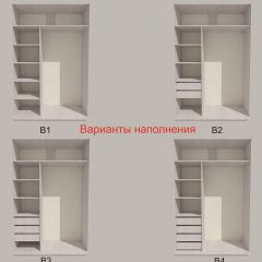 Шкаф-купе 1300 серии SILVER S1+S1+B2+PL2 (2 ящика+1 штанга+1 полка) профиль «Серебро» в Снежинске - snezhinsk.mebel24.online | фото 5