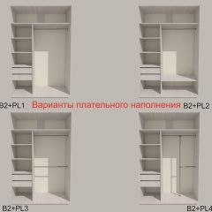 Шкаф-купе 1300 серии SILVER S1+S1+B2+PL2 (2 ящика+1 штанга+1 полка) профиль «Серебро» в Снежинске - snezhinsk.mebel24.online | фото 6