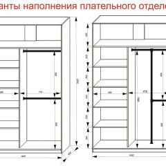 Шкаф-купе 1400 серии SOFT D8+D2+B2+PL4 (2 ящика+F обр.штанга) профиль «Графит» в Снежинске - snezhinsk.mebel24.online | фото 7