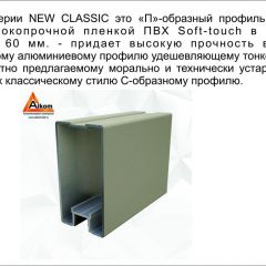 Шкаф-купе 1500 серии NEW CLASSIC K6Z+K6+B2+PL3 (2 ящика+2 штанги) профиль «Капучино» в Снежинске - snezhinsk.mebel24.online | фото 17