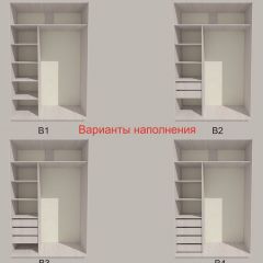 Шкаф-купе 1500 серии SILVER S3+S4+B2+PL4 (2 ящика+F обр.штанга) профиль «Серебро» в Снежинске - snezhinsk.mebel24.online | фото 5
