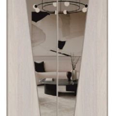 Шкаф-купе 1500 серии SILVER S3+S4+B2+PL4 (2 ящика+F обр.штанга) профиль «Серебро» в Снежинске - snezhinsk.mebel24.online | фото 12