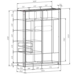 Шкаф-купе 1600 с плитой 22 мм ЛИБЕРТИ в Снежинске - snezhinsk.mebel24.online | фото 4