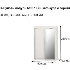 Шкаф-купе 1600 с зеркалом "Мария-Луиза 6.16" в Снежинске - snezhinsk.mebel24.online | фото 4