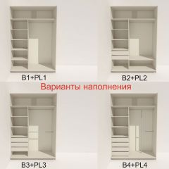 Шкаф-купе 1600 серии SOFT D6+D6+B2+PL3 (2 ящика+2штанги) профиль «Капучино» в Снежинске - snezhinsk.mebel24.online | фото 6