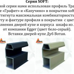 Шкаф-купе 1600 серии SOFT D6+D6+B2+PL3 (2 ящика+2штанги) профиль «Капучино» в Снежинске - snezhinsk.mebel24.online | фото 12
