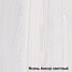 Шкаф-купе №19 Серия 3 Квадро (1500) Ясень Анкор светлый в Снежинске - snezhinsk.mebel24.online | фото 2
