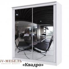 Шкаф-купе №19 Серия 3 Квадро (1700) Ясень Анкор светлый в Снежинске - snezhinsk.mebel24.online | фото