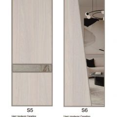 Шкаф-купе 1950 серии SILVER S3+S1+S4 B22+PL3 (по 2 ящика лев/прав+2 штанги) профиль «Серебро» в Снежинске - snezhinsk.mebel24.online | фото 14