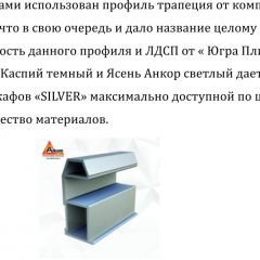 Шкаф-купе 1950 серии SILVER S3+S1+S4 B22+PL3 (по 2 ящика лев/прав+2 штанги) профиль «Серебро» в Снежинске - snezhinsk.mebel24.online | фото 4