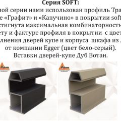 Шкаф-купе 2100 серии SOFT D4+D4+D4+B22+PL1 (по 2 ящика лев/прав+1штанга) профиль «Графит» в Снежинске - snezhinsk.mebel24.online | фото 12