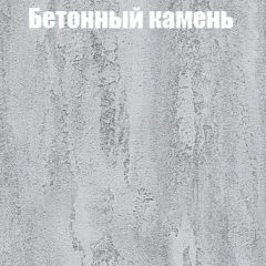 Шкаф-купе Бассо 1.0 (Дуб Крафт серый/Бетонный камень) 2 двери ЛДСП в Снежинске - snezhinsk.mebel24.online | фото 3