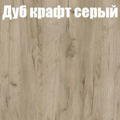 Шкаф-купе Бассо 1.0 (Дуб Крафт серый/Бетонный камень) 2 двери ЛДСП в Снежинске - snezhinsk.mebel24.online | фото 4