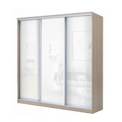 Шкаф-купе ХИТ 22-20/2-888 (620) в Снежинске - snezhinsk.mebel24.online | фото 7
