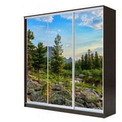 Шкаф-купе ХИТ 23-4-18-777 (420) в Снежинске - snezhinsk.mebel24.online | фото 1