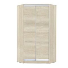 Шкаф-купе ХИТ-У-L-24-64-11 в Снежинске - snezhinsk.mebel24.online | фото 8