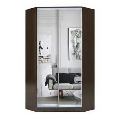 Шкаф-купе ХИТ-У-R-22-64-55 в Снежинске - snezhinsk.mebel24.online | фото