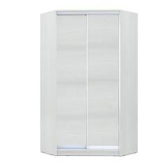 Шкаф-купе ХИТ-У-R-24-64-11 в Снежинске - snezhinsk.mebel24.online | фото
