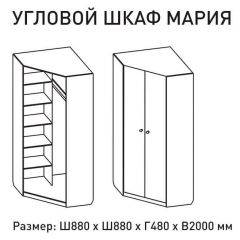 Шкаф угловой Мария 880*880 (ЛДСП 1 кат.) в Снежинске - snezhinsk.mebel24.online | фото 2