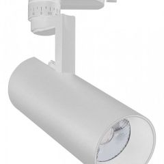 Светильник на штанге Escada 20029 20029TRA/01LED SWH в Снежинске - snezhinsk.mebel24.online | фото