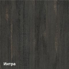 Трувор Полка 15.60 в Снежинске - snezhinsk.mebel24.online | фото 4