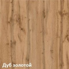 Вуди Шкаф для одежды 13.138 в Снежинске - snezhinsk.mebel24.online | фото 4