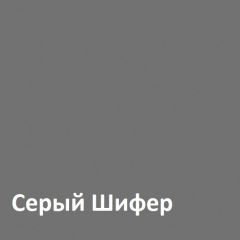 Юнона Шкаф торцевой 13.221 в Снежинске - snezhinsk.mebel24.online | фото 2