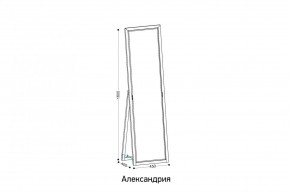 АЛЕКСАНДРИЯ-9.1 Зеркало напольное в Снежинске - snezhinsk.mebel24.online | фото 2