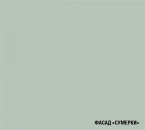 АСАЯ Кухонный гарнитур Экстра 2 (3000 мм) ПМ в Снежинске - snezhinsk.mebel24.online | фото 5