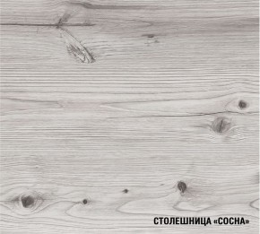 АСАЯ Кухонный гарнитур Экстра (3000 мм) в Снежинске - snezhinsk.mebel24.online | фото 8