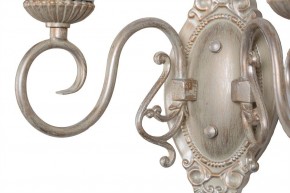 Бра Favourite Gesso 1141-2W в Снежинске - snezhinsk.mebel24.online | фото 4