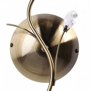 Бра MW-Light Нежность 7 356023001 в Снежинске - snezhinsk.mebel24.online | фото 3