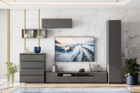 ДЕНВЕР Пенал (Графит серый) в Снежинске - snezhinsk.mebel24.online | фото 4