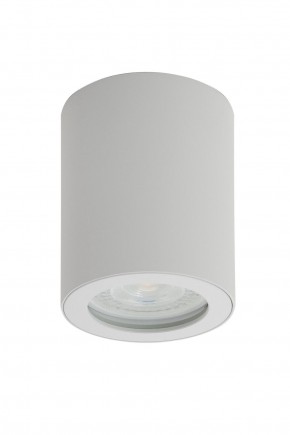 DK3007-WH Накладной светильник влагозащ., IP 44, 15 Вт, GU10, белый, алюминий в Снежинске - snezhinsk.mebel24.online | фото 1
